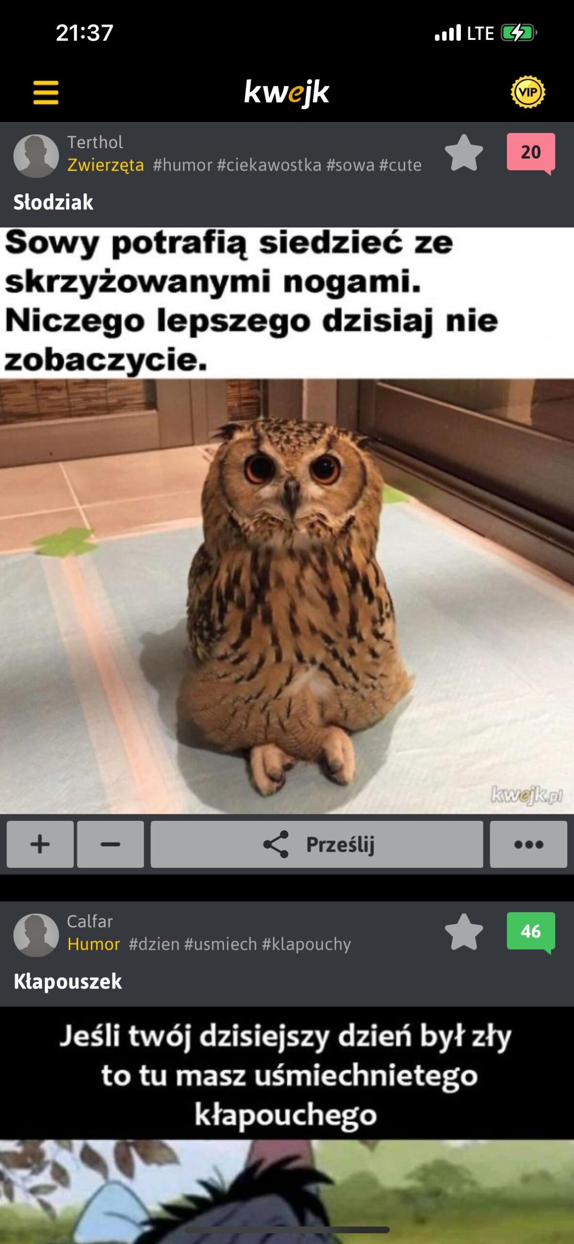 App Showcase Screenshot 1